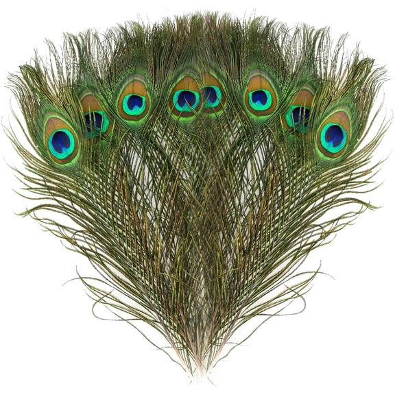 15PCS Peacock Feathers 10-12 Inch, Green Peacock Eye Feathers for DIY Crafts Art Halloween Mardi Gras Masquerade Costume Wedding Home Party Christmas Decorations