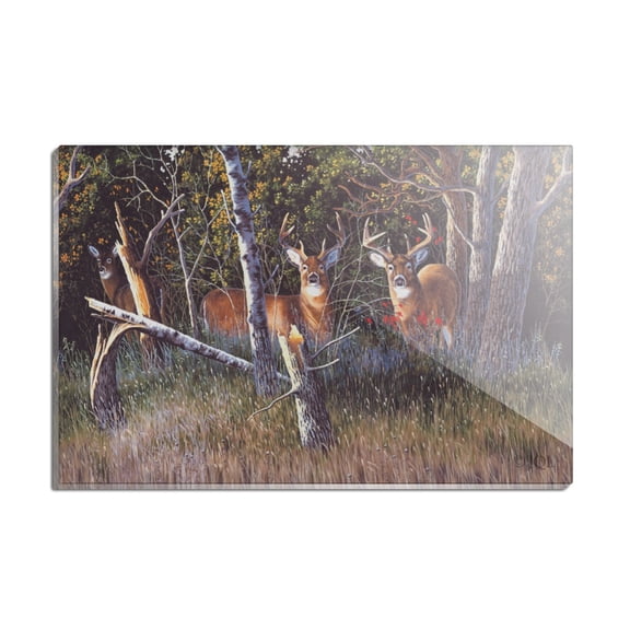 Deer in the Woods Rectangle Acrylic Fridge Refrigerator Magnet