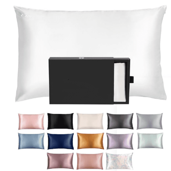 Silk Pillowcase - 100% Pure Mulberry Silk - 22 Momme 6A High-Grade Fibers - Silk Pillow Cover for Hair & Skin - Regular, Queen & King (Blissy White, Standard)