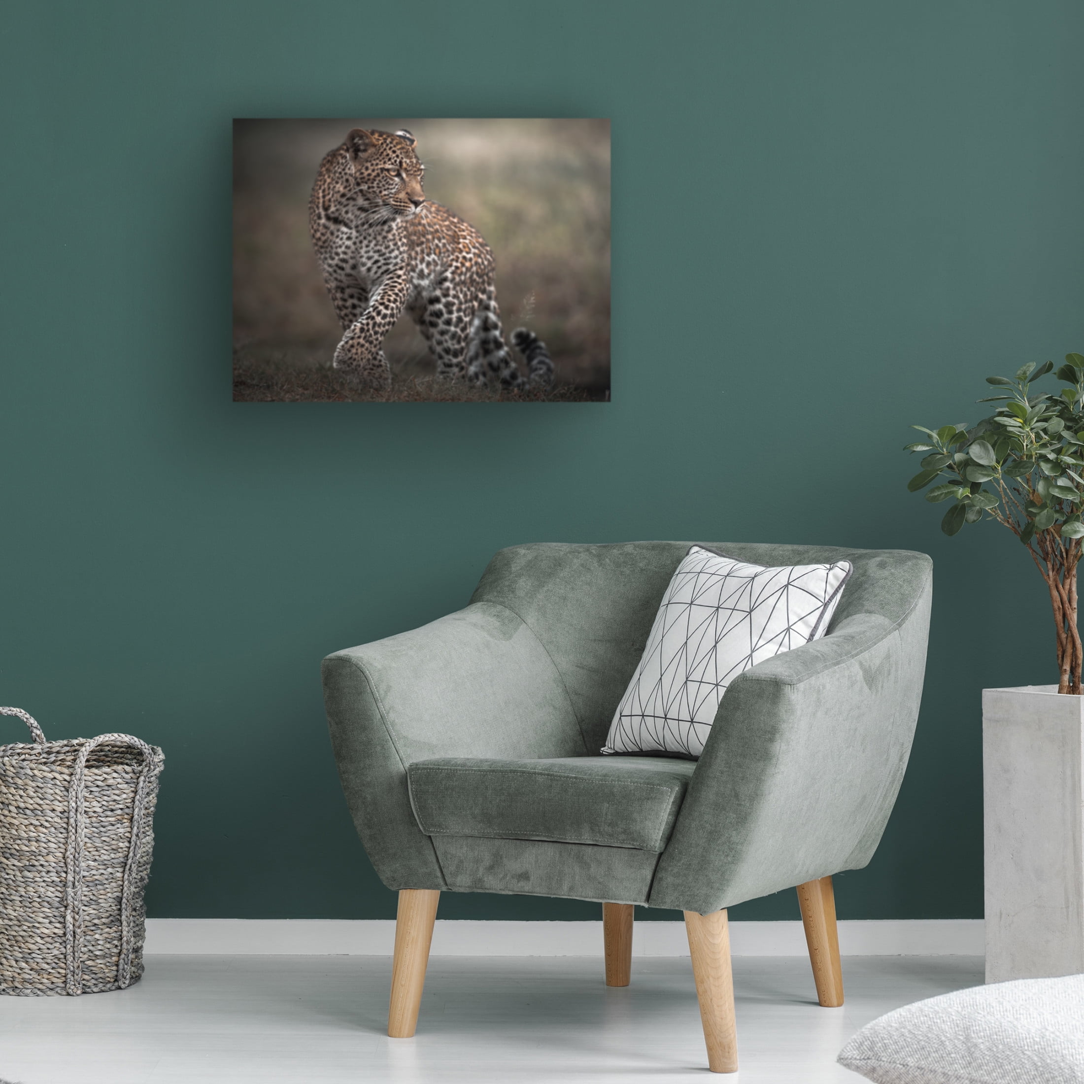 Trademark Fine Art Ahmed Sobhi Surprise Canvas Wall Art