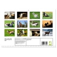 thumbnail image 2 of Who is that? With goats through the year (Monthly Wall Calendar 2026 16.5 x 23.4 (open)), CALVENDO 14 Month Calendar, 2 of 9