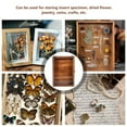 thumbnail image 4 of OUNONA Butterflies Specimen Case Wood Brown 1Set for Collectors Home Decoration, 4 of 6