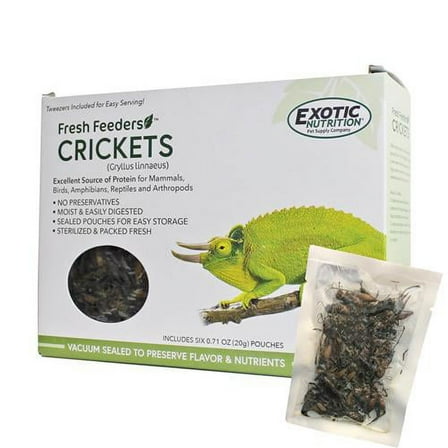 Exotic Nutrition Fresh Feeders Crickets