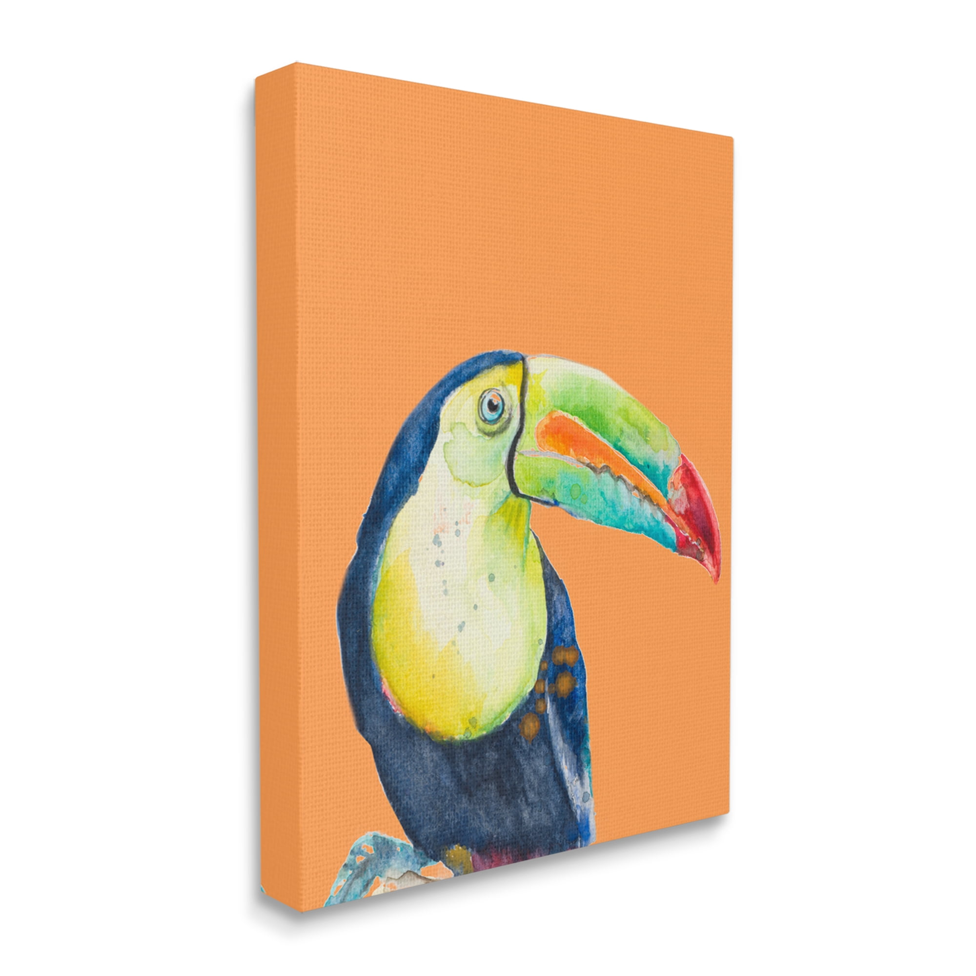 Stupell Industries Tropical Toucan Portrait Vivid Beak Rainforest Bird Graphic Art Gallery Wrapped Canvas Print Wall Art, Design by Patricia Pinto