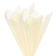 thumbnail image 1 of Uxcell Papel de Envoltura de Flores Coreano de 20 Hojas, Papel de Envoltura Floral para Empaque de Regalos, Beige, 1 of 1