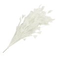 thumbnail image 2 of EHJRE Dyed Chicken Feather Sprays On Wire Craft Embellishment for DIY Craft Beige, 2 of 7