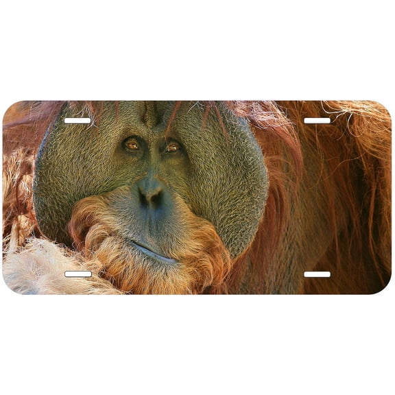 Monkey TAG39 Novelty Car Auto License Plate