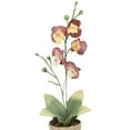 thumbnail image 6 of Northlight 14" Orchid Flower Artificial Potted Plant - Red/Yellow, 6 of 9