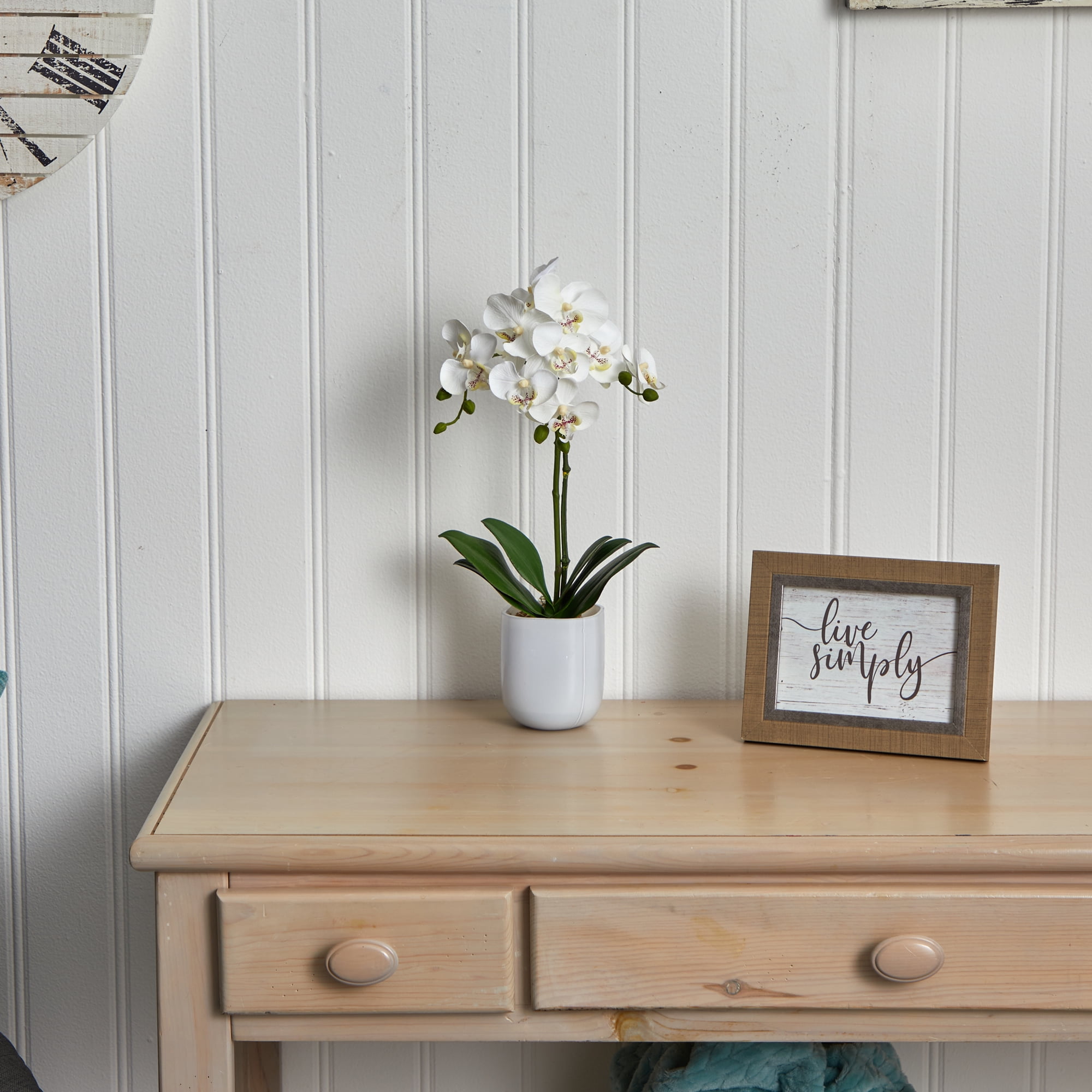 Nearly Natural Phalaenopsis in Frosted Glass