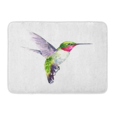 - KDAGR Colorful Air Watercolor Bird Hummingbird Flying Summer Garden Green Artistic Doormat Floor Rug Bath Mat 30x18 inch