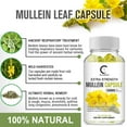 thumbnail image 6 of Greenpeople Mullein Leaf 1000mg, Support Respiratory System Health, Lung Cleansing and Detoxification, 120 Capsules, 6 of 6