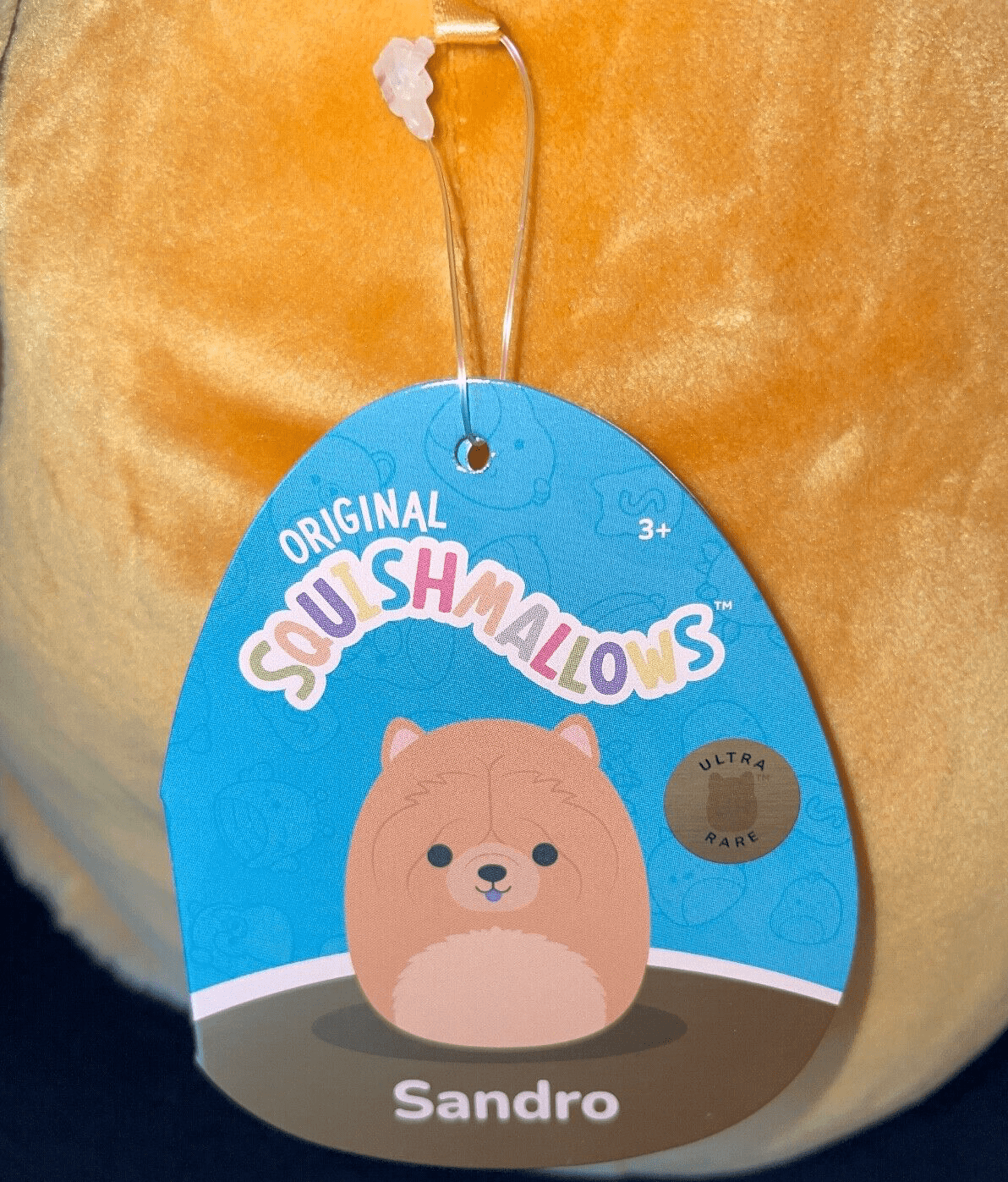 8ea8d503-af4e-4da8-83e6-