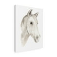 thumbnail image 2 of Annie Warren 'Ivory Stallion I' Canvas Art, 2 of 4