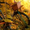 thumbnail image 2 of Nawrocke, Bruce 20x20 White Modern Wood Framed Museum Art Print Titled - Garden Bike, 2 of 4