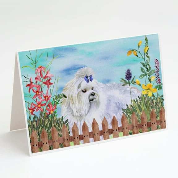 Maltese Spring Greeting Cards and Envelopes Pack of 8