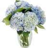 Image thumbnail_image