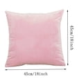thumbnail image 2 of Dvumao Solid Color Velvet Pillow Cover, Sofa Cushion Cover for Living Room and Bedroom, Hidden Zipper, Machine Washable, 2 of 5