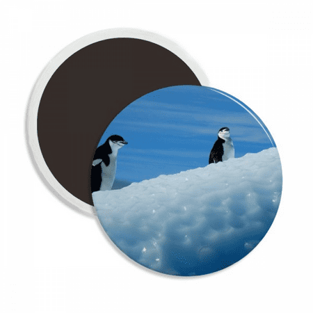 

Two Antarctic Penguins Science Nature Picture Round Ceracs Fridge Magnet Keepsake Decoration
