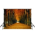 thumbnail image 2 of GreenDecor 7x5ft Autumn Photography Backdrops Forest Trail Fall Leaves Photo Prop Backdrop Without Crease, 2 of 5