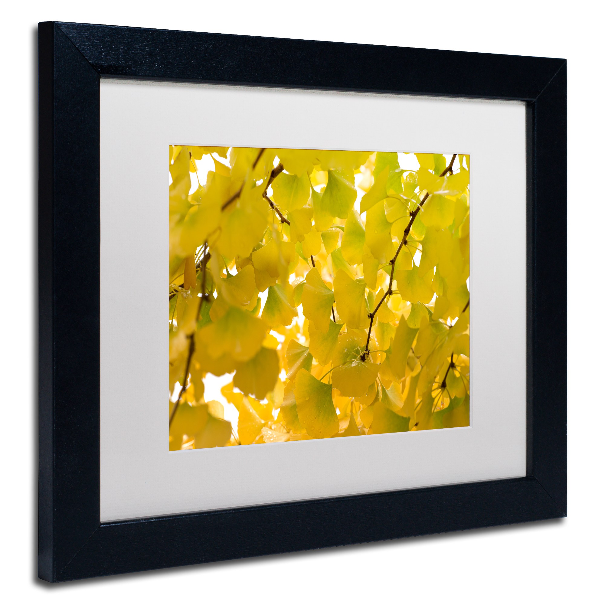 Trademark Fine Art "Yellow Autumn" Canvas Art by Philippe Sainte-Laudy White Matte, Black Frame