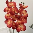 thumbnail image 3 of Yesbay 1Pcs Artificial Moth Orchids Realistic Fake Silk Flower Wedding Party Table Centerpiece Faux Phalaenopsis Floral Branch Decoration, 3 of 9