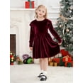 thumbnail image 4 of IDOPIP Toddler Baby Girls Velvet Tutu Dress Ruffle Long Sleeve Princess Pageant Party Wedding Dresses Fall Winter Clothes Infant Kids Birthday Holiday Playwear Dresses Outfits, 4 of 9