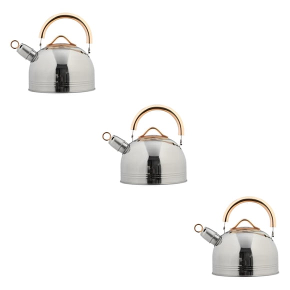 Advancent 2.64 Quart Whistle Kettle Anti-Scald Stainless Steel for Induction Cooker Type1