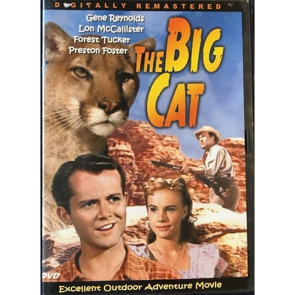 The Big Cat (Slim Case) (DVD)
