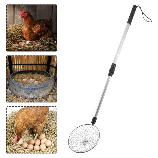 FOMIYES Huevos Manual Para Gallineros Con Que Huevos De Daños