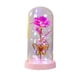 thumbnail image 2 of Luz Nocturna De Plástico 1Pcs 9.05x4.52" Preserved Rose Night Light with Butterfly and Starry Sky Glass Dome Pink Plastic LED Glowing Crystal Flower for Valentine's Day Birthday Gift JASKFLY, 2 of 8