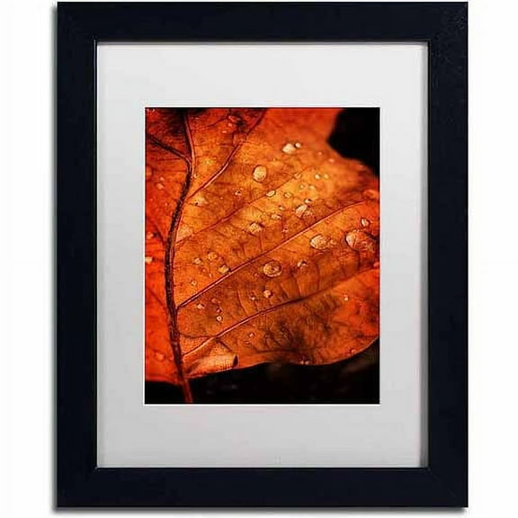 Trademark Fine Art "Autumn Droplets" Canvas Art by Philippe Sainte-Laudy, White Matte, Black Frame