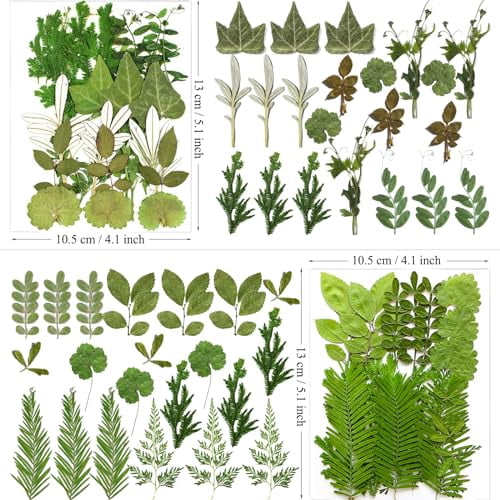 84Pcs Assorted Pressed Dried Leaves and Real Natural Bulk Dry Flowers for DIY Art Crafts, Epoxy Resin Jewelry, Candle and Soap Making, Nail Decoration Gifts