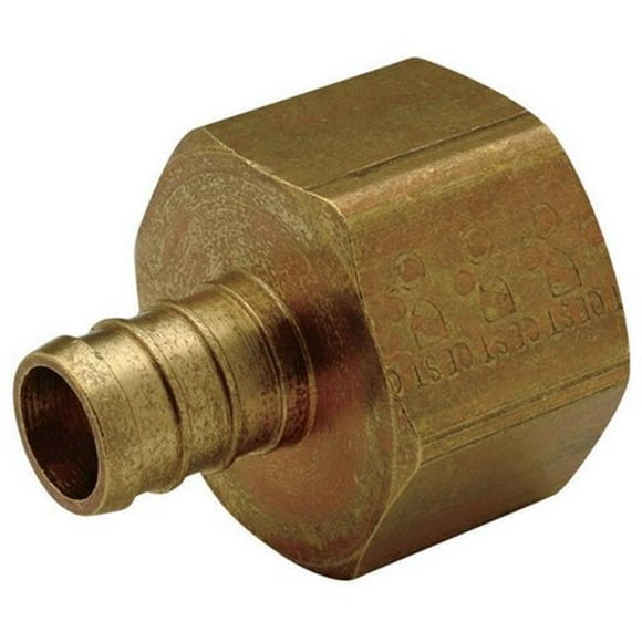 Nibco PX81300XR1 0.75 x 0.75 Po Adaptateur Pex