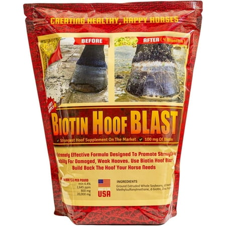 

Biotin Hoof Blast 4.8 Lb Concentrated Equine Hoof Supplement With 100Mg s Of Biotin Per Serving