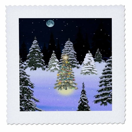 3dRose Christmas Tree Forests - Quilt Square, 10 by