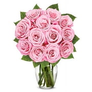 From You Flowers - Classic Light Pink Rose Bouquet with Glass Vase (Fresh Flowers) Birthday, Anniversary, Get Well, Sympathy, Congratulations, Thank You