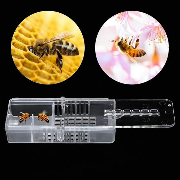 Cages pour Reines Abeilles, Outils d'Apiculteur, Cage pour Reines Abeilles, Outils Essentiels Faciles à Saisir, Ferme pour Reines Abeilles