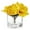 Yellow, variant on Enova Home Artificial Real Touch Magnolia Faux Flowers Arrangement in Cube Glass Vase with Faux Water for Home Office Wedding Decór (Blue)