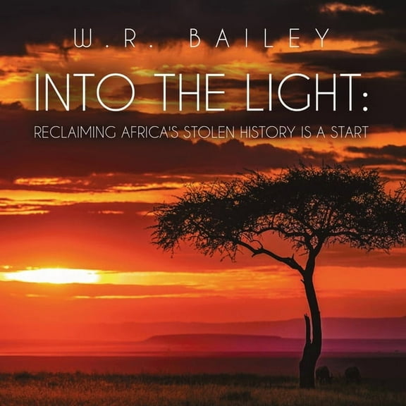 Into the Light: Reclaiming Africa's Stolen History Is a Start, (Paperback)