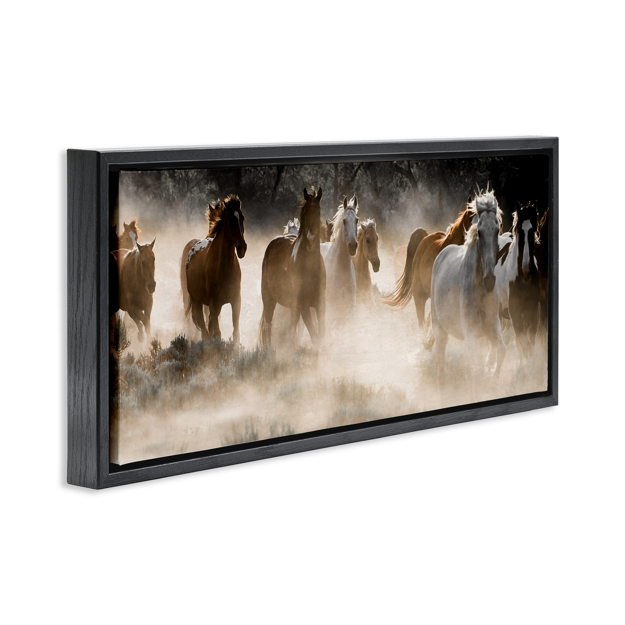 Stupell Industries Striking Horse Herd Galloping Animals & Insects Photography Black Floater Framed Canvas Art Print Wall Art, 31 x 14