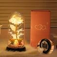 thumbnail image 5 of Tyidzon Valentines Glass Rose Gifts for Women Mom, Birthday Gifts Galaxy Glass Rose Forever Preserved Flowers, Light Up Rose in Glass Dome Gifts for Grandma Her Wife, 5 of 6