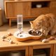 thumbnail image 4 of Juego de comederos dobles para gatos con cuencos elevados de acero inoxidable para comida y agua – Base antideslizante, dispensador automático de agua, diseño 2 en 1 para comida seca o húmeda., 4 of 6