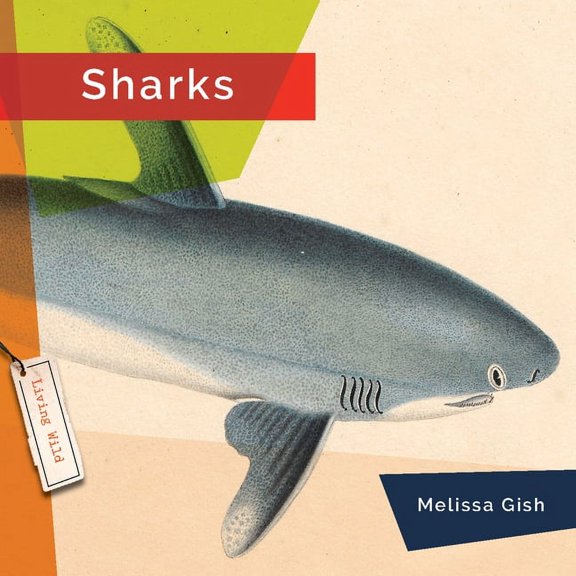 Sharks, (Paperback)