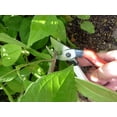 thumbnail image 4 of Tijeras de podar Okatsune 101 Bypass de 7 pulgadas con capacidad de corte de 0,75 pulgadas, 4 of 9