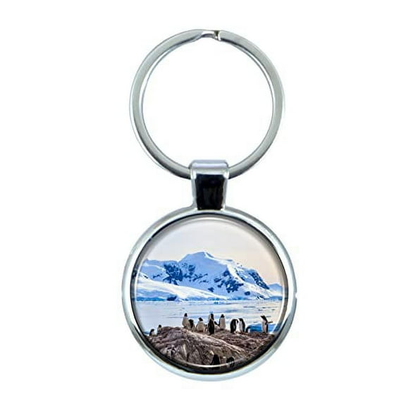 Antarctic Keychain with Epoxy Dome and Metal Keyring