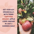 thumbnail image 3 of Garden of Life Organics Apple Cider Vinegar Probiotic, 60 Vegan Gummies, 3 of 7