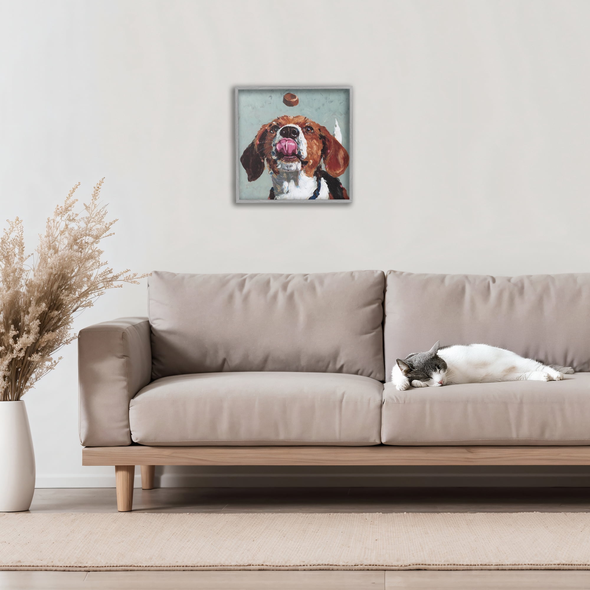 Stupell Industries Beagle Treat Excitement Gray Framed Giclee Art, design by Studio Bautista