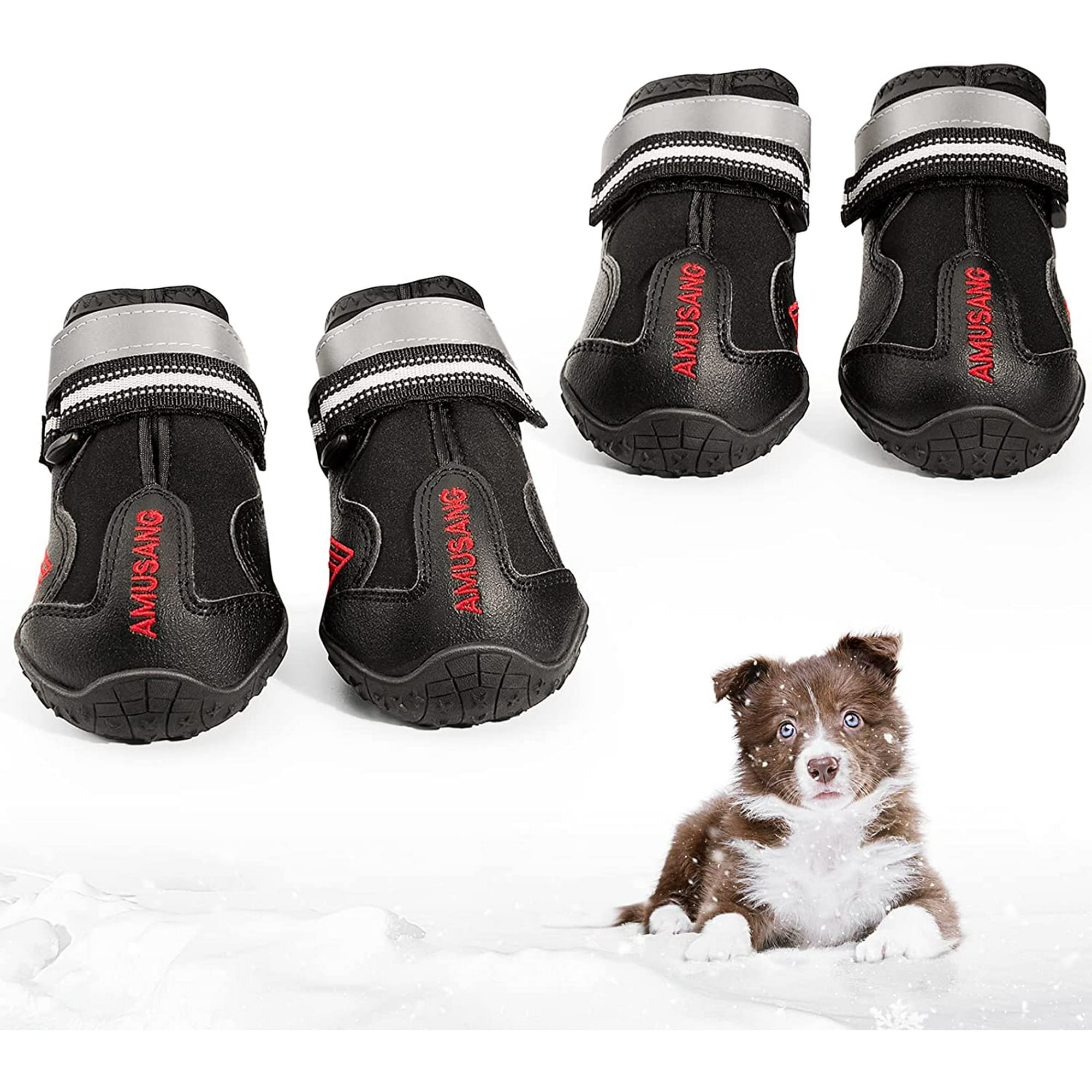 Why Do Dogs Love Shoes