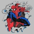 thumbnail image 2 of Boys' Husky Marvel: Spider-Man Spider Webs Graphic T-Shirt, 2 of 3