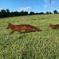 thumbnail image 3 of Rusty Fox Garden Decor Art Silhouette Garden Plugin Decoration, 2D Metal Fox Statue Rusty Decoration, Rustic Garden Statue Decoration, 3 of 5